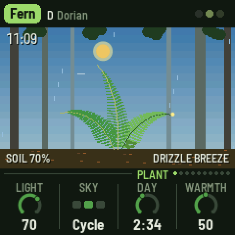ECO-1's screen: a fern on a forest floor